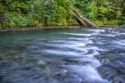 USA-Washington State-Olympic National Forest Rapids on Duckabush River Art Print
